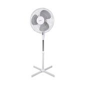 Fans