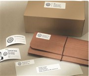 Dymo S0722550 Labelwriter Multi Purpose Small Removable 19 x 51mm Roll 500
