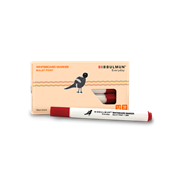 Bibbulmun Whiteboard Marker Bullet Red Box of 10 925700503