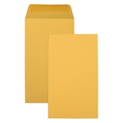 Envelopes 617162 No 5 Seed Pocket Lick  Stick 120 x 65mm 85gsm Gold Box 1000